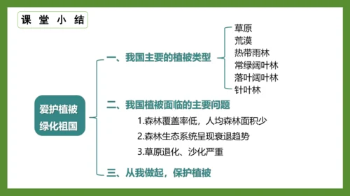 3.6 爱护植被，绿化祖国2023-2024学年七年级生物上册精品课件（人教版）(共21张PPT)