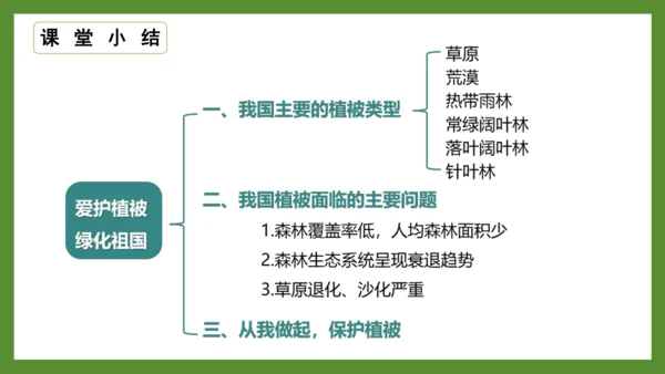 3.6 爱护植被，绿化祖国2023-2024学年七年级生物上册精品课件（人教版）(共21张PPT)