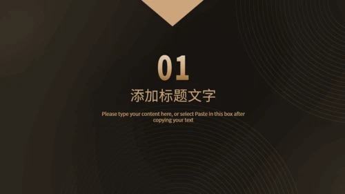 大气硬实力商业项目计划书通用PPT模板