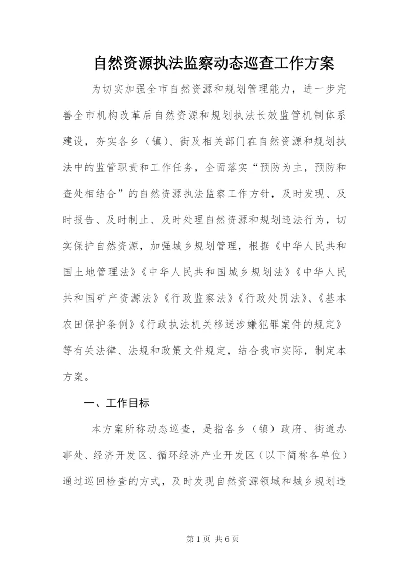 自然资源执法监察动态巡查工作方案.docx