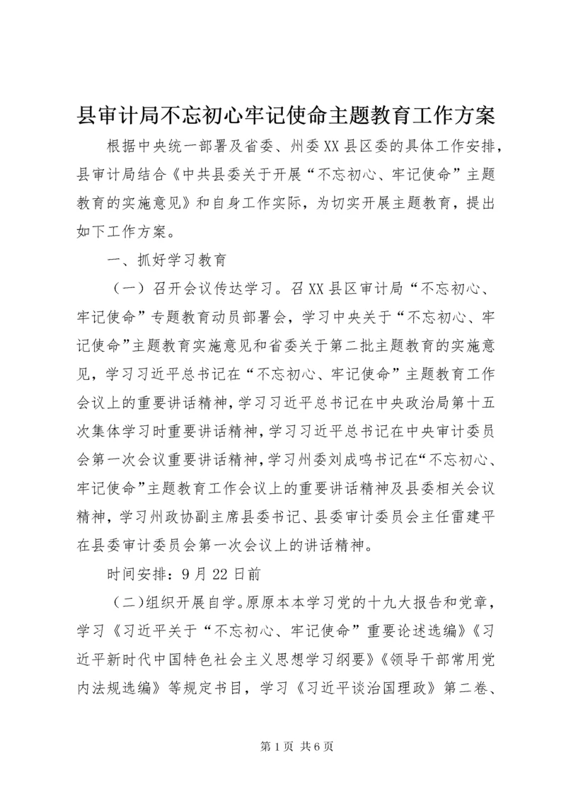 县审计局不忘初心牢记使命主题教育工作方案.docx