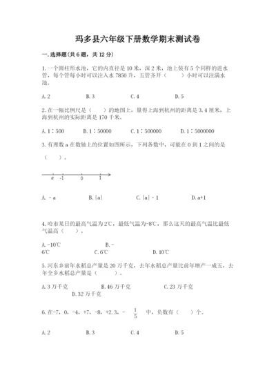 玛多县六年级下册数学期末测试卷（夺冠）.docx