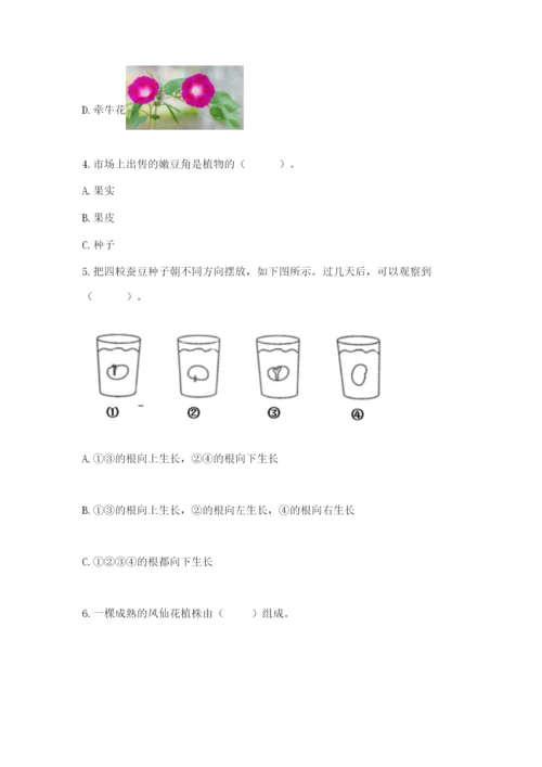 教科版科学四年级下册第一单元《植物的生长变化》测试卷带答案（实用）.docx