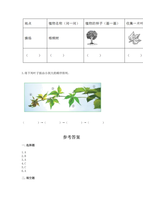 教科版科学一年级上册第一单元《植物》测试卷含答案（名师推荐）.docx