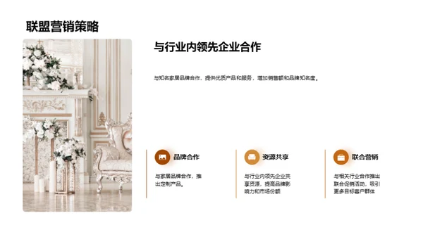 双十二家居盛宴策略