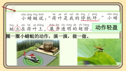 12 荷叶圆圆（课件）
