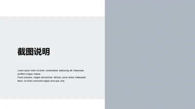 扁平PPT截图说明