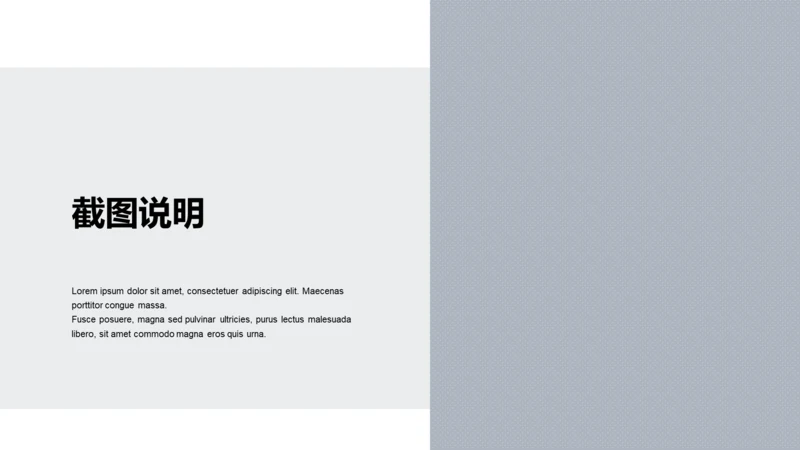 扁平PPT截图说明
