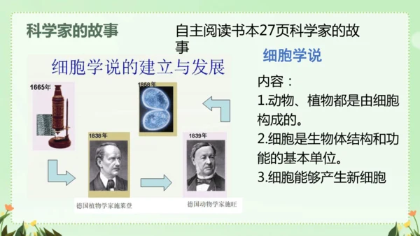 人教版（2024）七年级上册1.2.3 动物细胞 课件(共26张PPT)