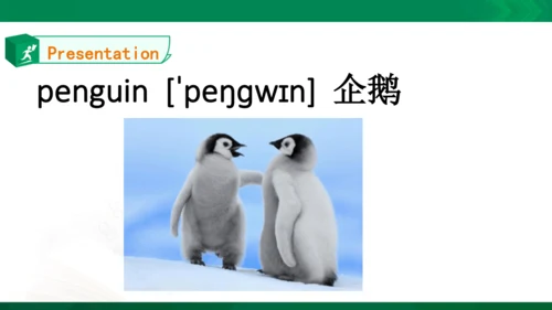 Unit3 Animals Lesson3同步课件