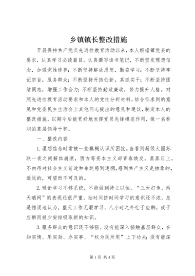 乡镇镇长整改措施.docx