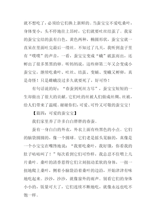蚕宝宝的作文-1.docx