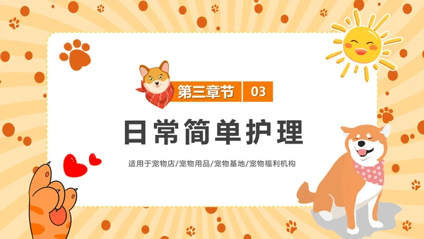 猫咪，宠物健康管理PPT模板