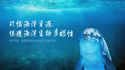 世界海洋日海豚通用PPT模板