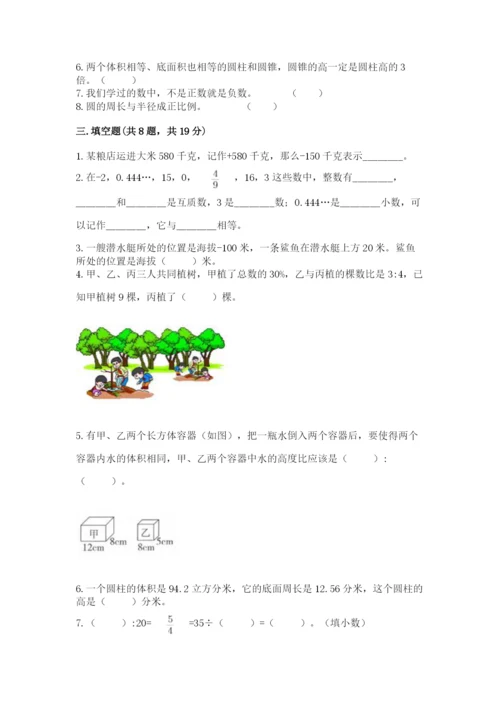 北京版六年级下册期末真题卷精品【夺冠系列】.docx