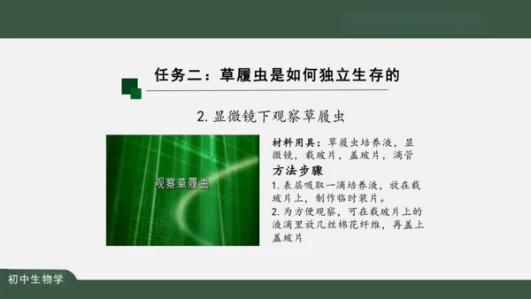 2.2.4 单细胞生物 课件（共24张PPT）