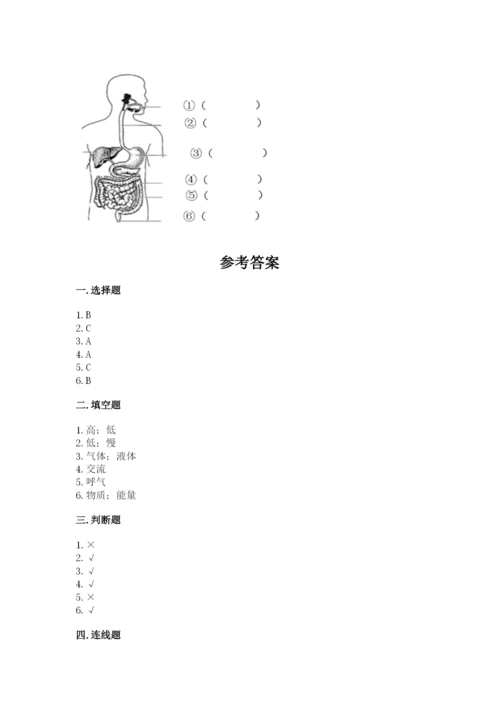 教科版四年级上册科学期末测试卷精品（完整版）.docx