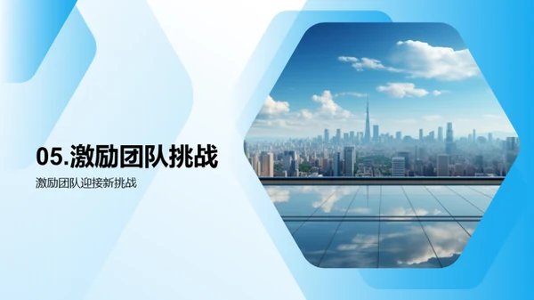 20XX年度绩效与挑战