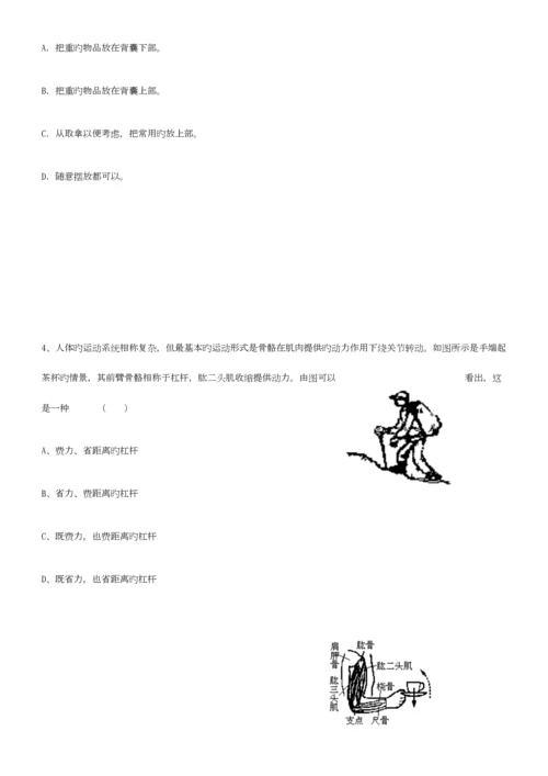 2023年杠杆知识点自归纳.docx