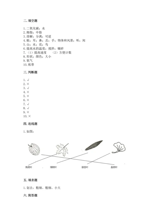 教科版小学一年级上册科学期末测试卷（能力提升）word版.docx