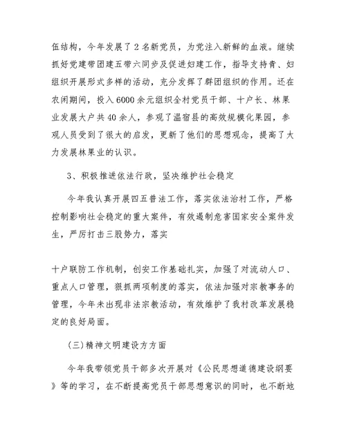 村书记年终工作总结