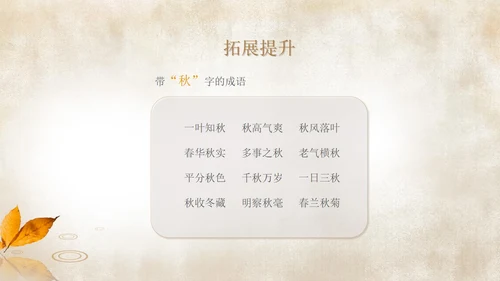 简约语文三年级《秋天的雨》课件PPT模板