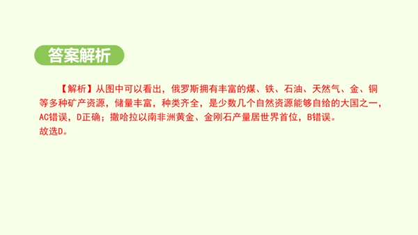 8.4.1 世界面积最大的国家 世界能源大国（课件28张）-2024-2025学年七年级地理下学期人