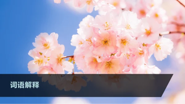 17屈原（节选）课件
