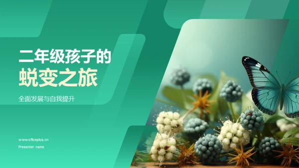 二年级孩子的蜕变之旅