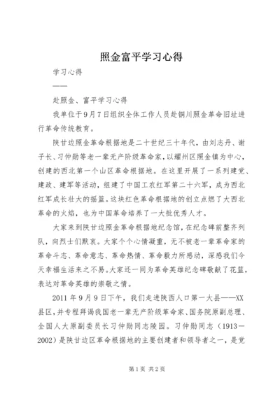 照金富平学习心得.docx