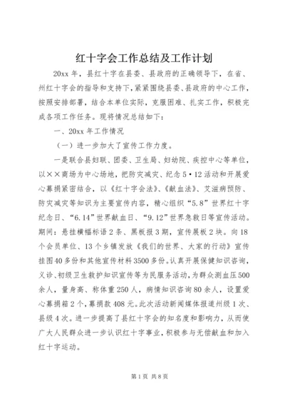 红十字会工作总结及工作计划 (2).docx