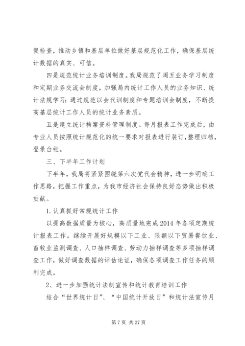 市统计局上半年工作总结及下半年工作计划(精选多篇).docx