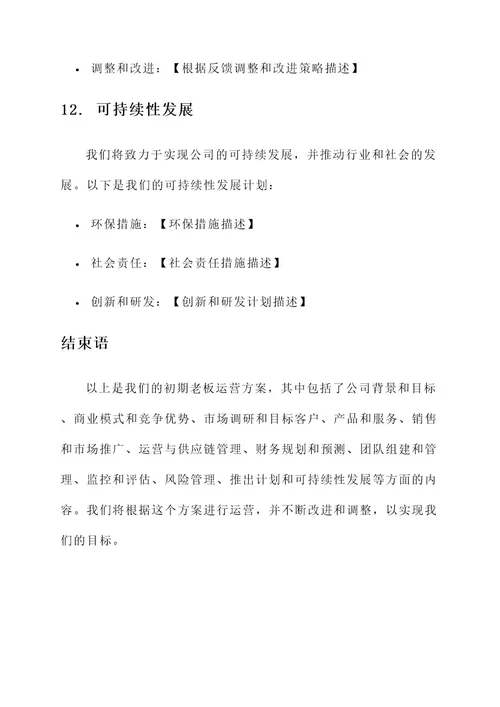 小公司初期老板运营方案