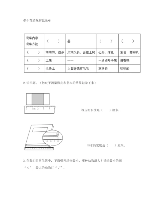 教科版一年级上册科学期末测试卷精品（全国通用）.docx