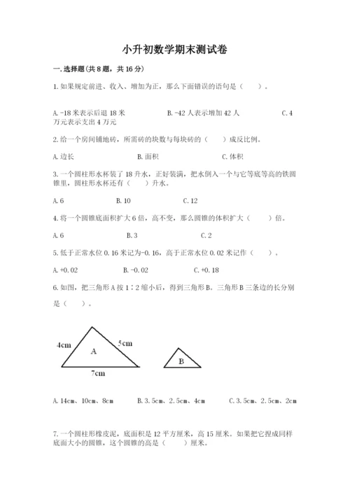 小升初数学期末测试卷【典优】.docx