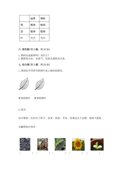 教科版科学一年级上册第一单元《植物》测试卷含答案（预热题）.docx