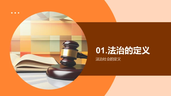 法治社会的理解与实践