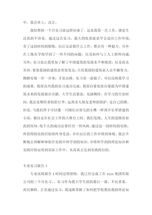 专业实习报告(合集15篇).docx