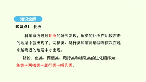 7.3.2生物进化的历程课件-人教版生物八年级下册(共23张PPT)