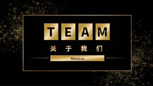 黑金商务企业团队成员介绍PPT模板