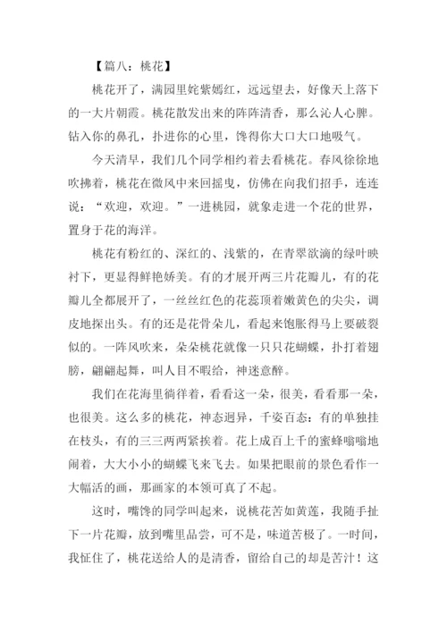 小学生描写桃花的作文.docx