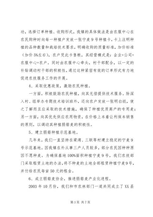 增收增效发展弱筋麦产业促进农业增收增效.docx