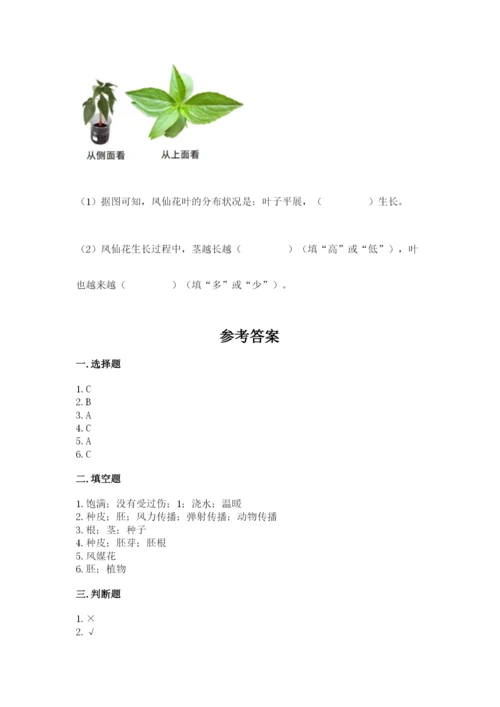 科学四年级下册第一单元《植物的生长变化》测试卷附参考答案【研优卷】.docx