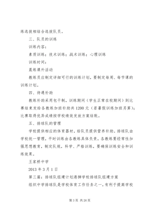 校排球队组建计划.docx