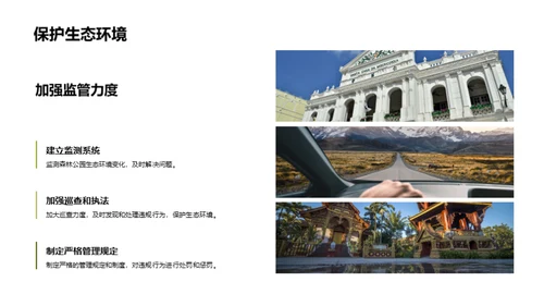 森林公园生态旅游