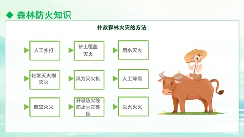 清明防火知识安全宣讲通用PPT模板