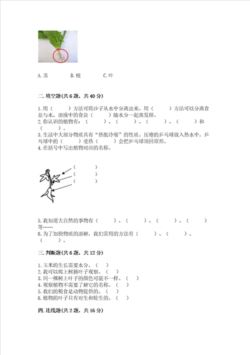 教科版科学一年级上册第一单元植物测试卷附完整答案夺冠系列