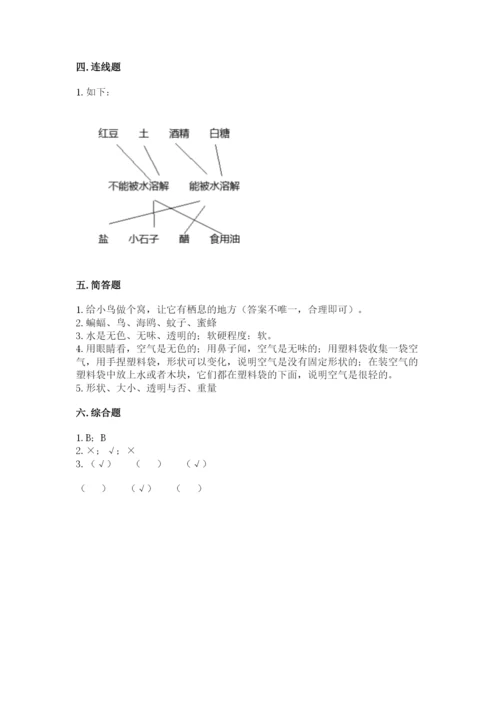 教科版一年级下册科学期末测试卷【名校卷】.docx