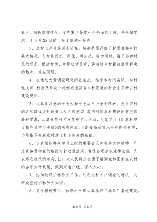 新农村建设驻村指导员工作计划 (5).docx