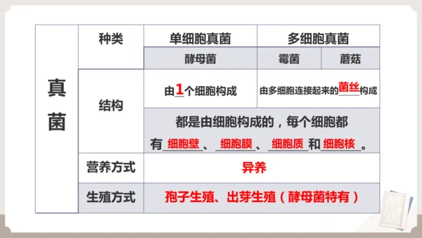 人教版生物八年级上册2.3 细菌、真菌和病毒 本章复习课件(共23张PPT)+视频素材